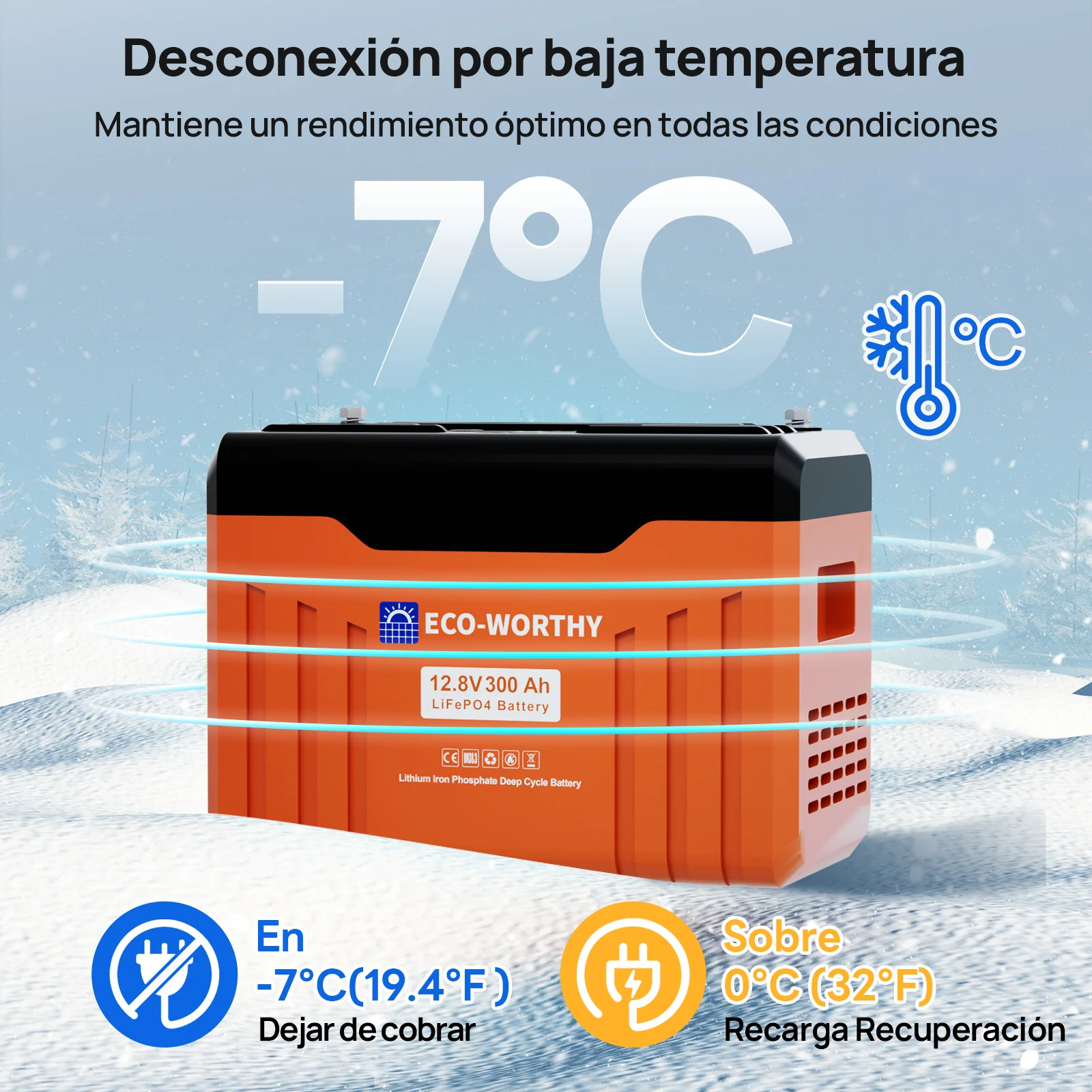 Imagen del producto 8